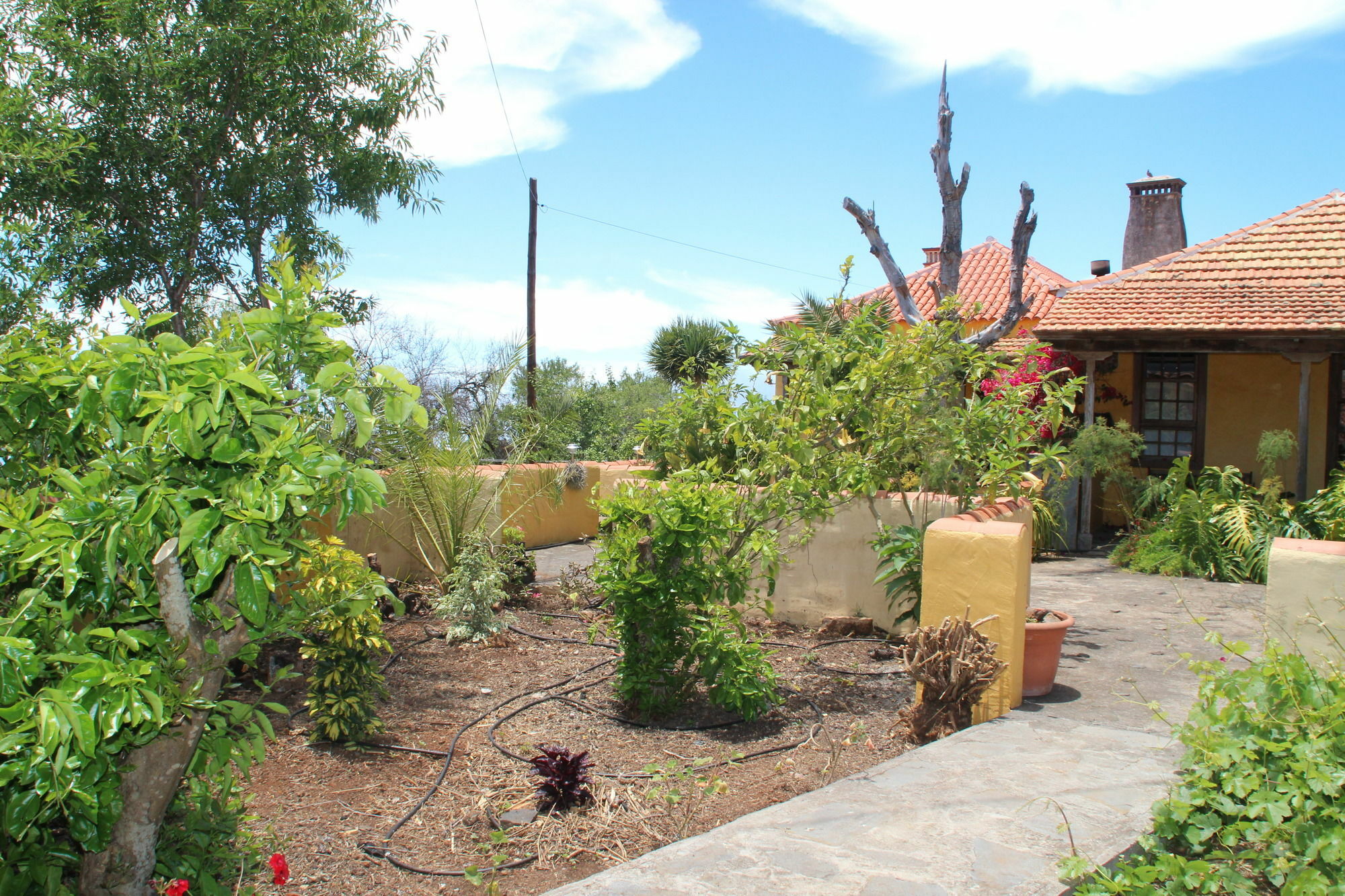Marantes Ferienhaus Puntagorda