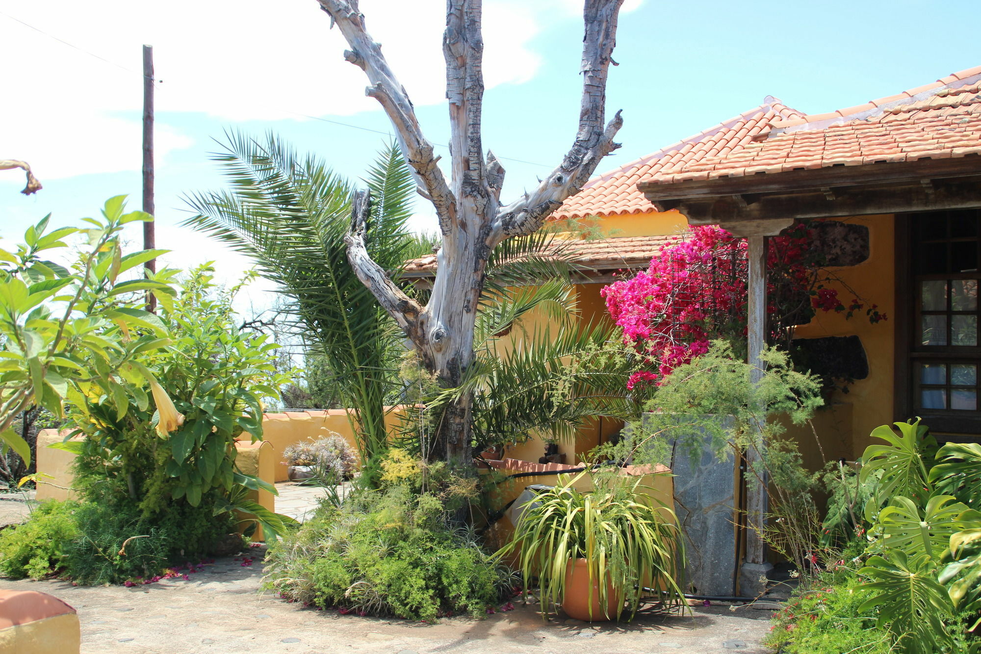 Ferienhaus Marantes Puntagorda