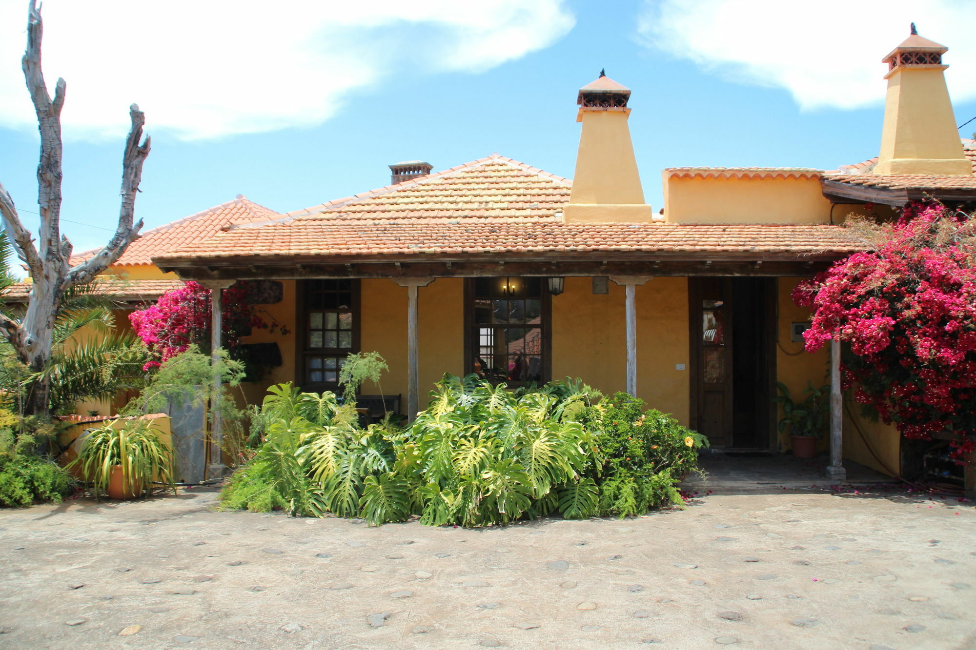 Marantes